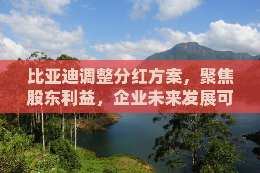 比亚迪调整分红方案，聚焦股东利益，企业未来发展可期