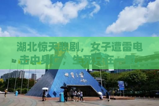 湖北惊天悲剧，女子遭雷电击中身亡，生死只在一瞬，科普雨天防雷知识