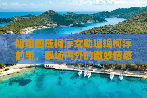 姐姐回应柯淳女助理挽柯淳的手，职场内外的微妙情感与伦理边界