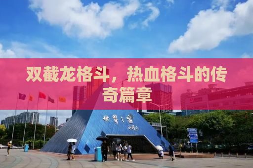 双截龙格斗，热血格斗的传奇篇章