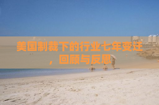 美国制裁下的行业七年变迁，回顾与反思