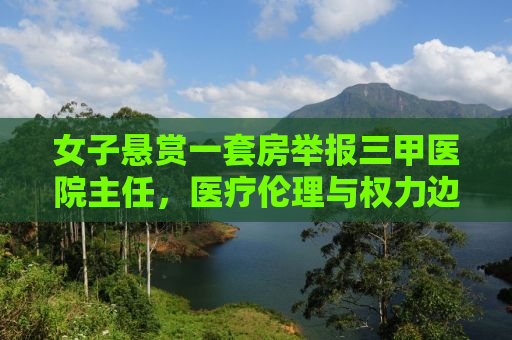 女子悬赏一套房举报三甲医院主任，医疗伦理与权力边界的挑战