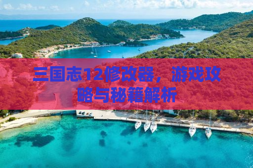 三国志12修改器，游戏攻略与秘籍解析