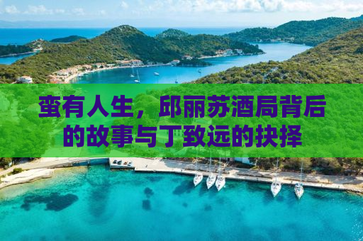蛮有人生，邱丽苏酒局背后的故事与丁致远的抉择