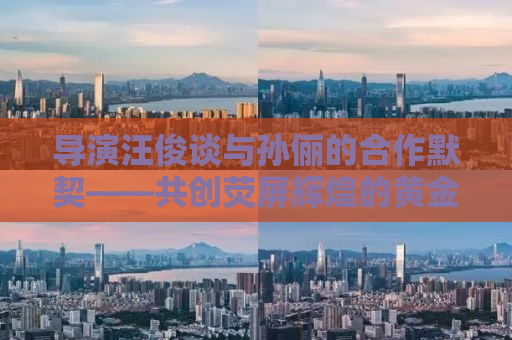 导演汪俊谈与孙俪的合作默契——共创荧屏辉煌的黄金搭档