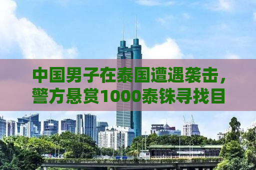 中国男子在泰国遭遇袭击，警方悬赏1000泰铢寻找目击者