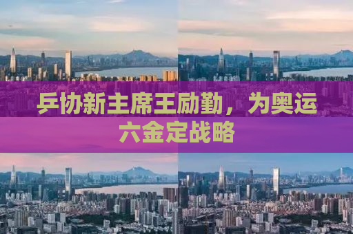 乒协新主席王励勤，为奥运六金定战略