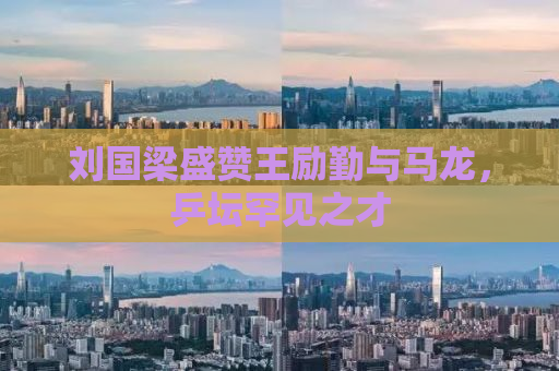 刘国梁盛赞王励勤与马龙，乒坛罕见之才