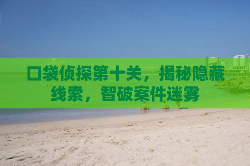 口袋侦探第十关，揭秘隐藏线索，智破案件迷雾