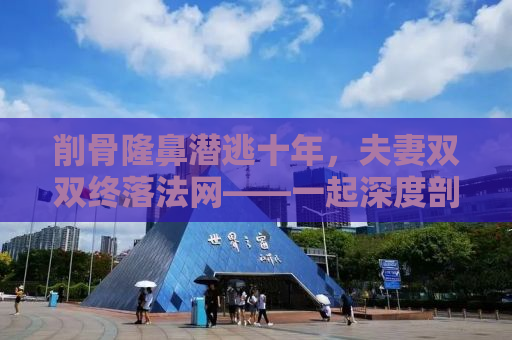 削骨隆鼻潜逃十年，夫妻双双终落法网——一起深度剖析整容潜逃案的始末