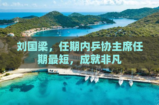 刘国梁，任期内乒协主席任期最短，成就非凡
