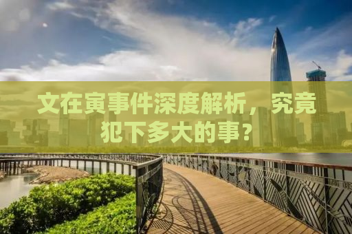 文在寅事件深度解析，究竟犯下多大的事？