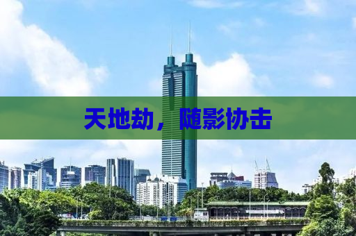 天地劫，随影协击