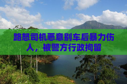 路怒司机恶意别车后暴力伤人，被警方行政拘留