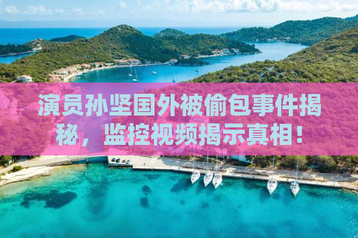 演员孙坚国外被偷包事件揭秘，监控视频揭示真相！