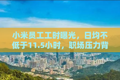 小米员工工时曝光，日均不低于11.5小时，职场压力背后的真相与挑战