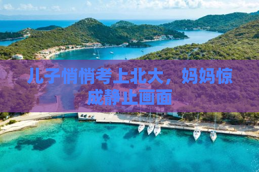儿子悄悄考上北大，妈妈惊成静止画面