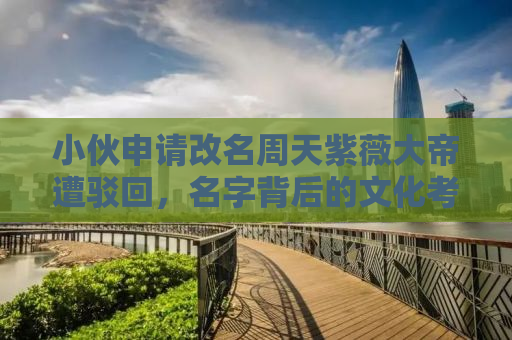 小伙申请改名周天紫薇大帝遭驳回，名字背后的文化考量与社会责任