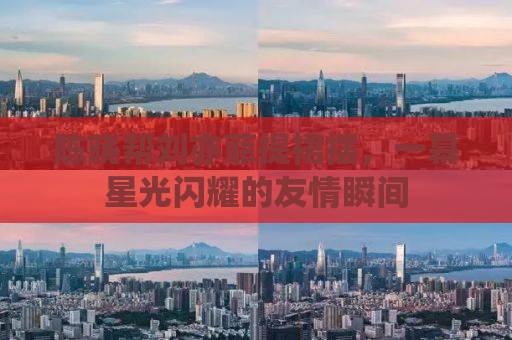 陈晓帮刘亦菲提裙摆，一幕星光闪耀的友情瞬间