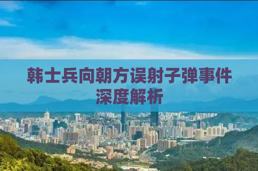 韩士兵向朝方误射子弹事件深度解析