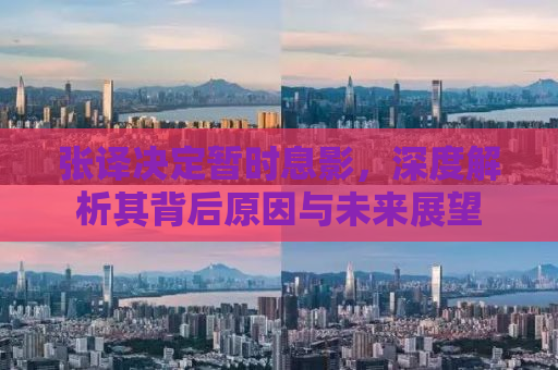 张译决定暂时息影，深度解析其背后原因与未来展望