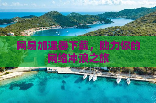 网易加速器下载，助力你的网络冲浪之旅