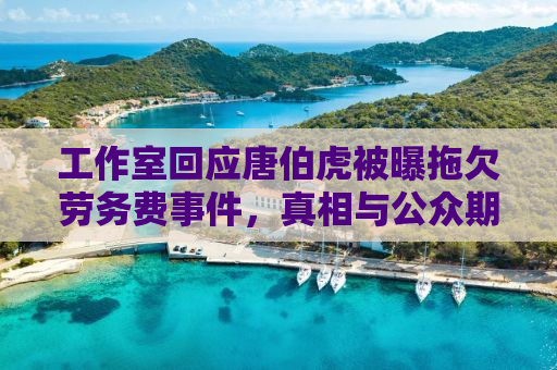 工作室回应唐伯虎被曝拖欠劳务费事件，真相与公众期待的对话