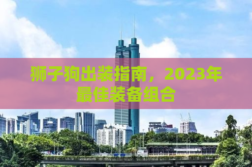狮子狗出装指南，2023年最佳装备组合