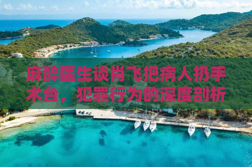 麻醉医生谈肖飞把病人扔手术台，犯罪行为的深度剖析