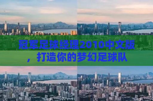 冠军足球经理2010中文版，打造你的梦幻足球队