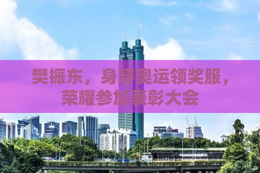 樊振东，身穿奥运领奖服，荣耀参加表彰大会
