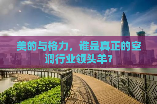 美的与格力，谁是真正的空调行业领头羊？