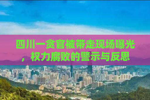 四川一贪官被带走现场曝光，权力腐败的警示与反思