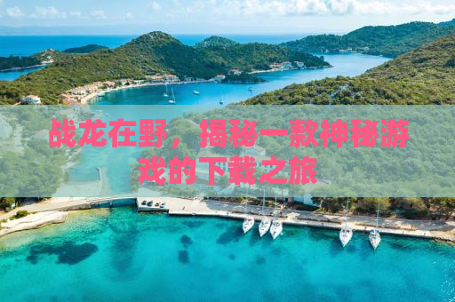 战龙在野，揭秘一款神秘游戏的下载之旅