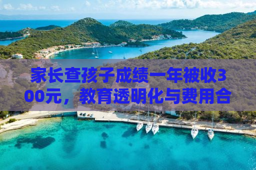 家长查孩子成绩一年被收300元，教育透明化与费用合理性的思考