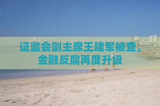 证监会副主席王建军被查，金融反腐再度升级