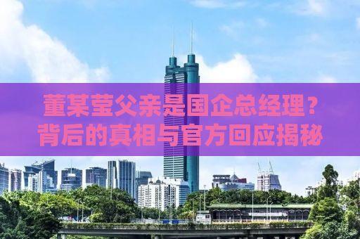 董某莹父亲是国企总经理？背后的真相与官方回应揭秘