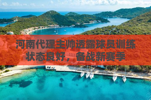 河南代理主帅透露球员训练状态良好，备战新赛季