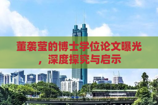 董袭莹的博士学位论文曝光，深度探究与启示
