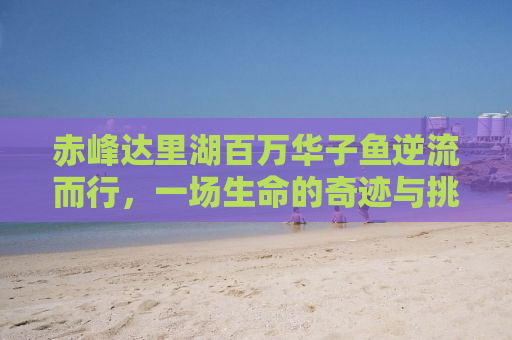 赤峰达里湖百万华子鱼逆流而行，一场生命的奇迹与挑战