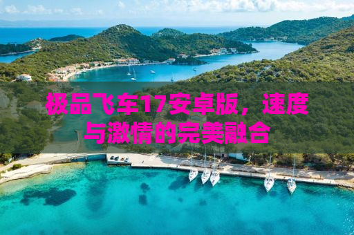 极品飞车17安卓版，速度与激情的完美融合