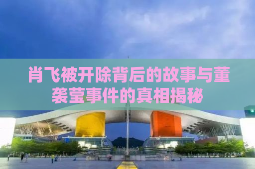 肖飞被开除背后的故事与董袭莹事件的真相揭秘