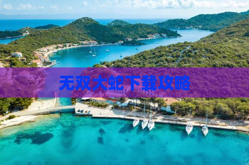 无双大蛇下载攻略