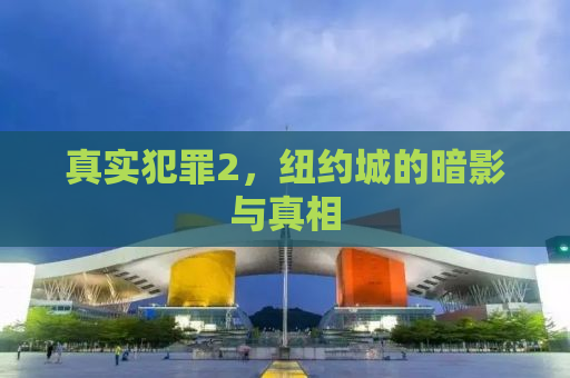 真实犯罪2，纽约城的暗影与真相