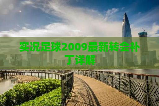 实况足球2009最新转会补丁详解