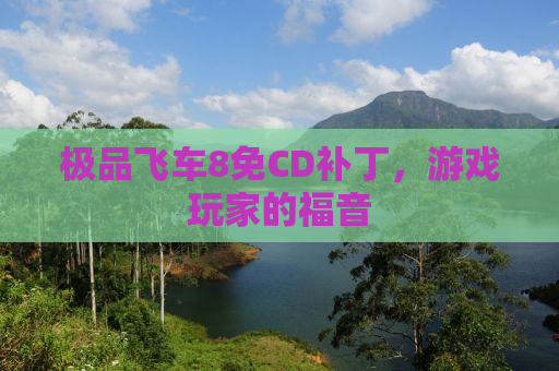 极品飞车8免CD补丁，游戏玩家的福音