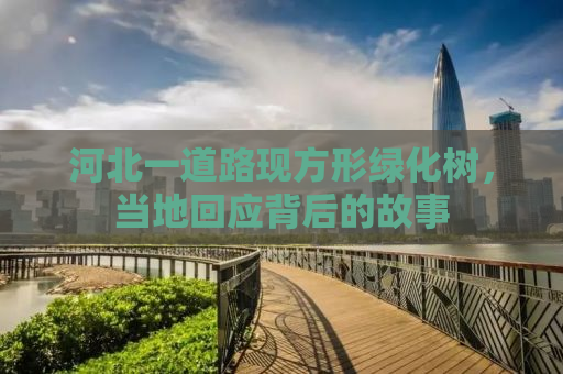 河北一道路现方形绿化树，当地回应背后的故事