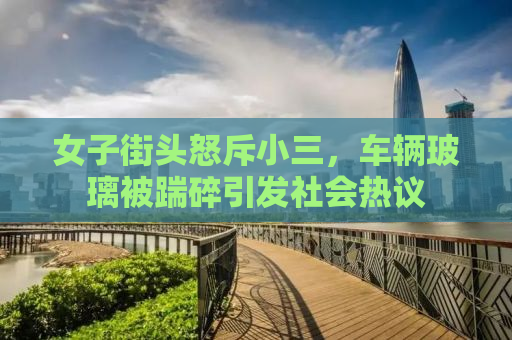 女子街头怒斥小三，车辆玻璃被踹碎引发社会热议
