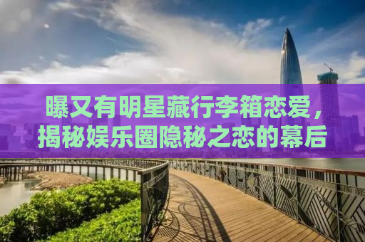 曝又有明星藏行李箱恋爱，揭秘娱乐圈隐秘之恋的幕后故事