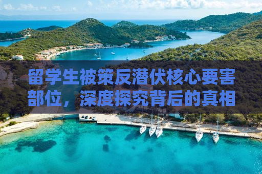 留学生被策反潜伏核心要害部位，深度探究背后的真相与启示